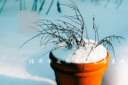信用卡逾期是公安局直接介入吗 信用卡逾期是公安局直接介入吗