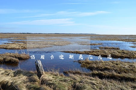 信用卡逾期是几天还 信用卡逾期是几天还