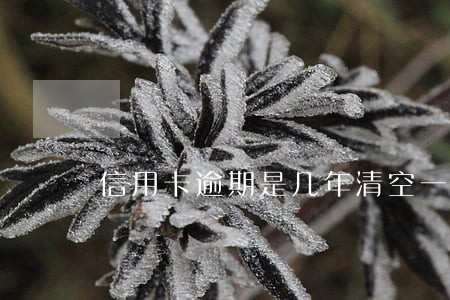 信用卡逾期是几年清空一次 信用卡逾期是几年清空一次