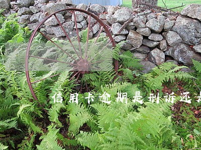 信用卡逾期是刑诉还是民诉 信用卡逾期是刑诉还是民诉