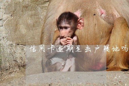 信用卡逾期是去户籍地吗 信用卡逾期是去户籍地吗