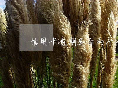 信用卡逾期是否两个人坐牢吗