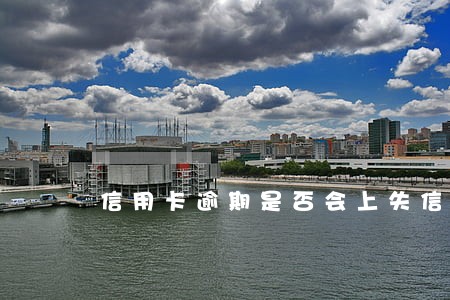 信用卡逾期是否会上失信名单 信用卡逾期是否会上失信名单
