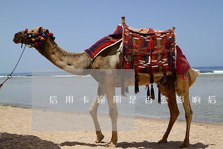信用卡逾期是否会影响后期贷款 信用卡逾期是否会影响后期贷款
