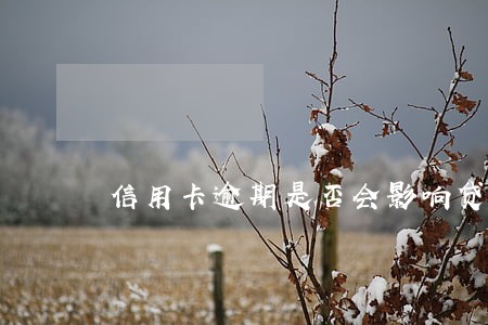 信用卡逾期是否会影响贷款 信用卡逾期是否会影响贷款