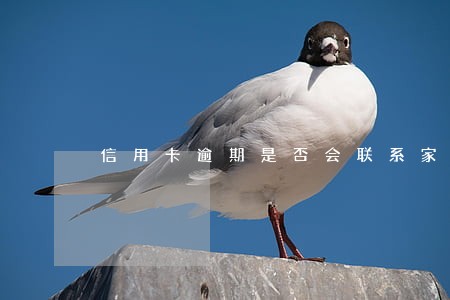 信用卡逾期是否会联系家人 信用卡逾期是否会联系家人