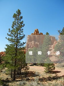 信用卡逾期是否会通知单位 信用卡逾期是否会通知单位