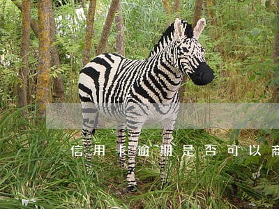 信用卡逾期是否可以商量 信用卡逾期是否可以商量