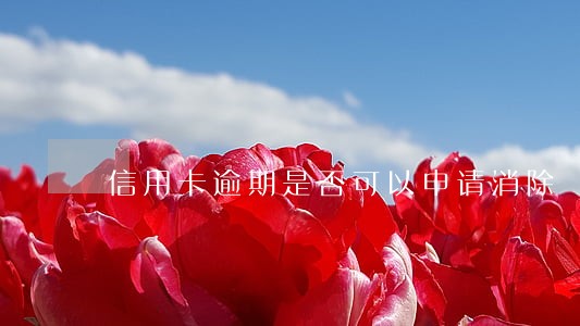 信用卡逾期是否可以申请消除 信用卡逾期是否可以申请消除