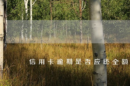信用卡逾期是否应还全额 信用卡逾期是否应还全额