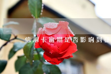 信用卡逾期是否影响到征信 信用卡逾期是否影响到征信