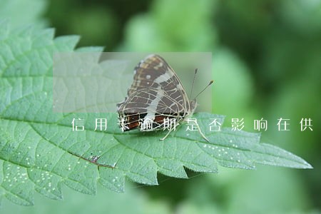 信用卡逾期是否影响在供物业 信用卡逾期是否影响在供物业