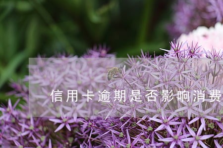 信用卡逾期是否影响消费贷 信用卡逾期是否影响消费贷