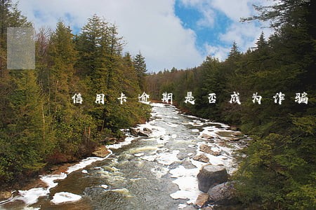 信用卡逾期是否成为诈骗 信用卡逾期是否成为诈骗