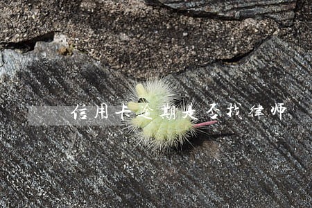 信用卡逾期是否找律师 信用卡逾期是否找律师