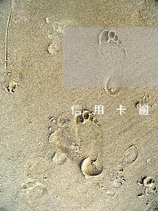 信用卡逾期是否承担刑事责任 信用卡逾期是否承担刑事责任