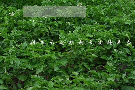 信用卡逾期是否提醒义务 信用卡逾期是否提醒义务