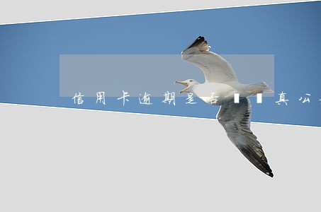 信用卡逾期是否會傳真公安局 信用卡逾期是否會傳真公安局