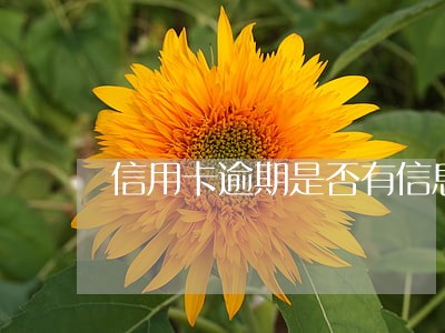 信用卡逾期是否有信息 信用卡逾期是否有信息