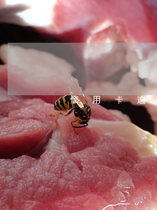 信用卡逾期是否有法律效力
