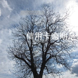 信用卡逾期是否立案怎么查询 信用卡逾期是否立案怎么查询