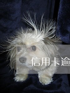 信用卡逾期是否能办银行卡