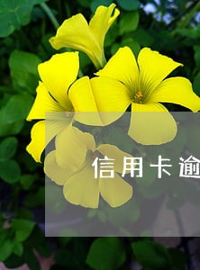信用卡逾期是和银行的人协商么