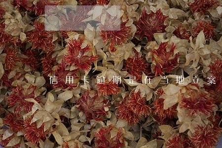信用卡逾期是在当地立案吗 信用卡逾期是在当地立案吗