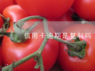 信用卡逾期是复利吗 信用卡逾期是复利吗