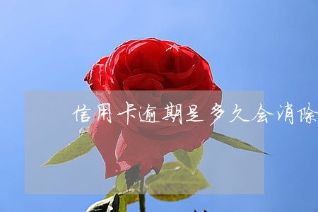 信用卡逾期是多久会消除