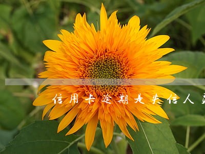信用卡逾期是失信人员吗