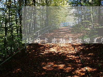 信用卡逾期是归哪里管的 信用卡逾期是归哪里管的