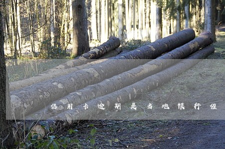 信用卡逾期是当地银行催收吗 信用卡逾期是当地银行催收吗