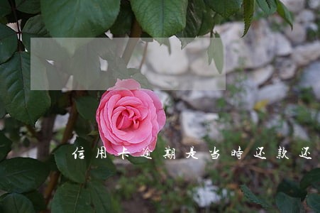 信用卡逾期是当时还款还是下个月