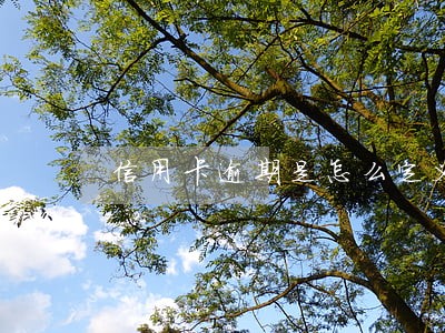 信用卡逾期是怎么定义的 信用卡逾期是怎么定义的