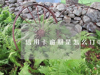 信用卡逾期是怎么打电话的 信用卡逾期是怎么打电话的