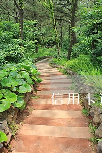 信用卡逾期是怎么扛过来的 信用卡逾期是怎么扛过来的