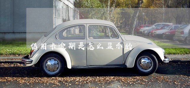 信用卡逾期是怎么显示的 信用卡逾期是怎么显示的