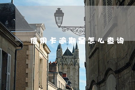 信用卡逾期是怎么查询