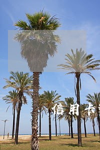 信用卡逾期是怎么算的按天算吗 信用卡逾期是怎么算的按天算吗