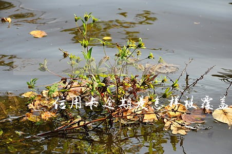 信用卡逾期是怎样被覆盖的
