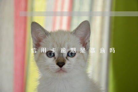 信用卡逾期是恶意吗 信用卡逾期是恶意吗