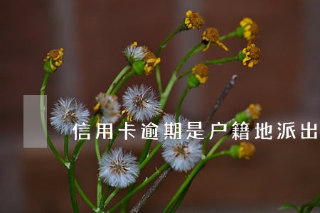 信用卡逾期是户籍地派出所 信用卡逾期是户籍地派出所