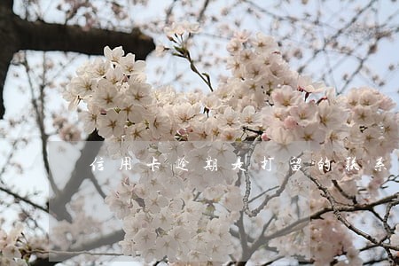 信用卡逾期是打留的联系人电话吗 信用卡逾期是打留的联系人电话吗