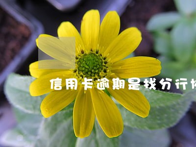 信用卡逾期是找分行协商 信用卡逾期是找分行协商