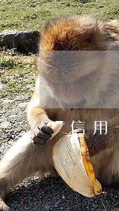 信用卡逾期是找法务还是自己协商 信用卡逾期是找法务还是自己协商