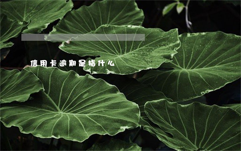 信用卡逾期是指什么
