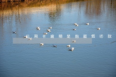 信用卡逾期是指最低还款日么 信用卡逾期是指最低还款日么
