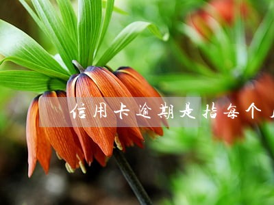 信用卡逾期是指每个月吗