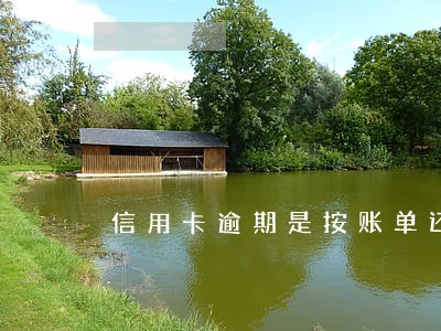信用卡逾期是按账单还是按天数 信用卡逾期是按账单还是按天数